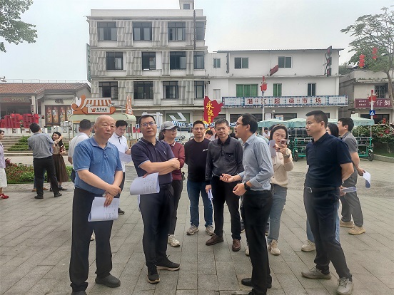 2-3市委会调研组在鳌头镇龙潭村调研.jpg